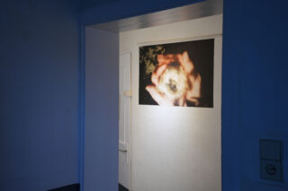 Ein Foto eines Flurs zeigt eine geschlossene weiße Tür und ein an der Wand angebrachtes Bild von zwei verschwommenen Händen, die einen runden Gegenstand halten, der von einem Scheinwerfer beleuchtet wird.